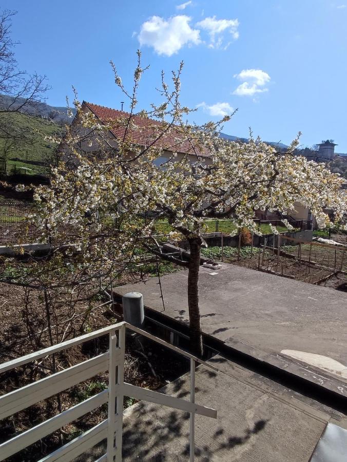 Apartman Bor Ливно Экстерьер фото