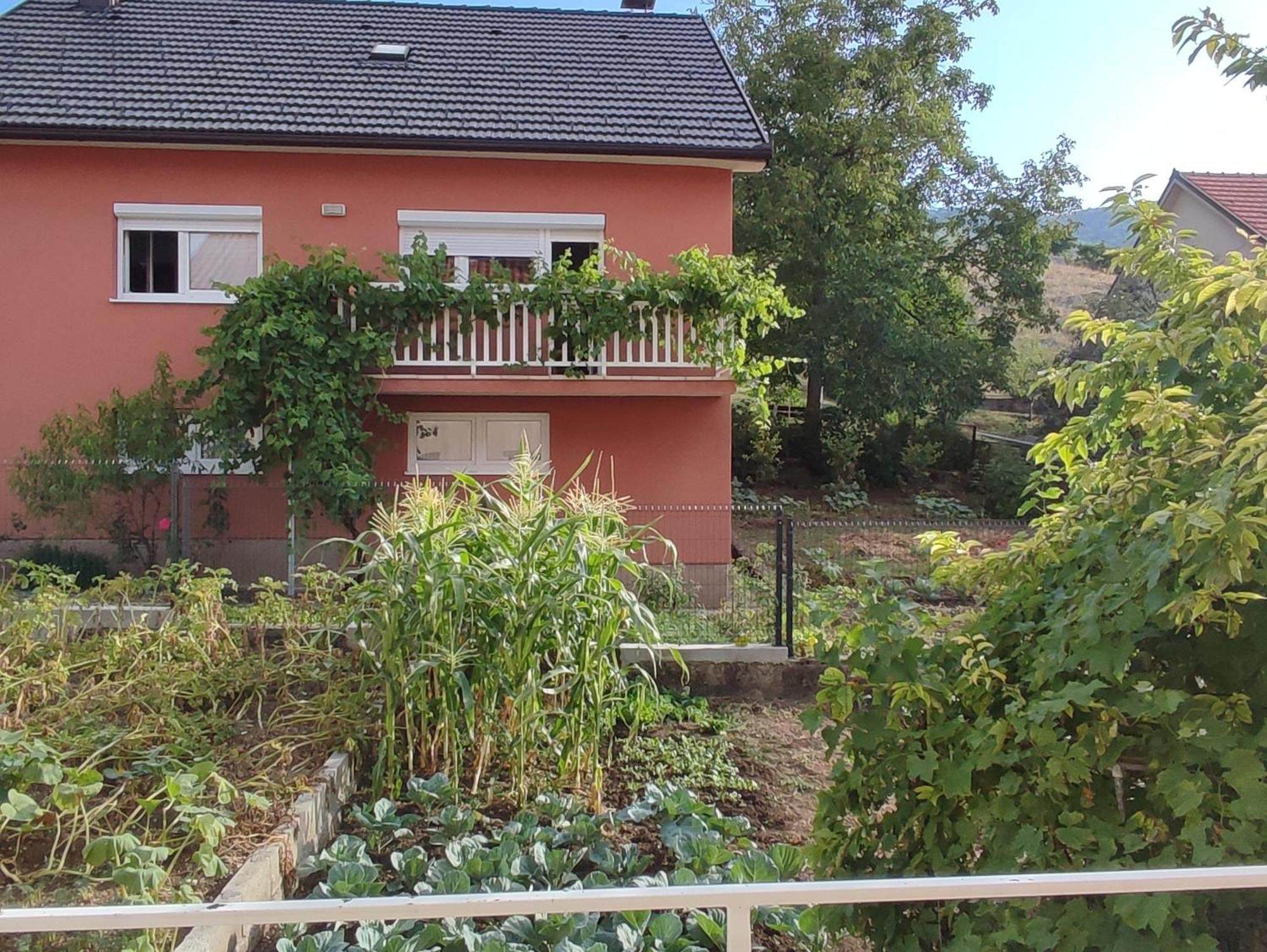 Apartman Bor Ливно Экстерьер фото